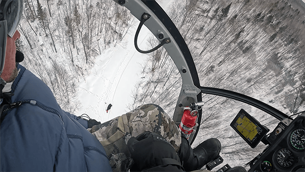 aerial view from helicopter window of snowy forest with moose
