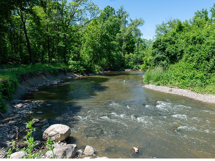 View of river bend surrounded by trees