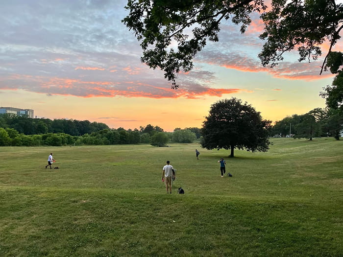 people playing disc golf in open park space