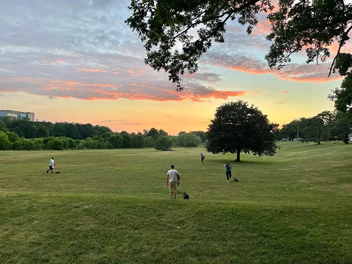 people playing disc golf in open park space