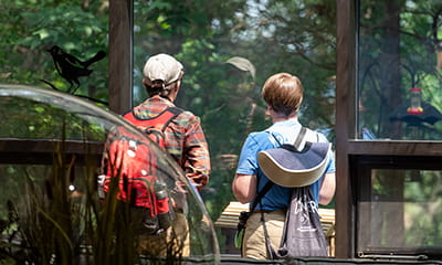 two visitors looking out visitor center window
