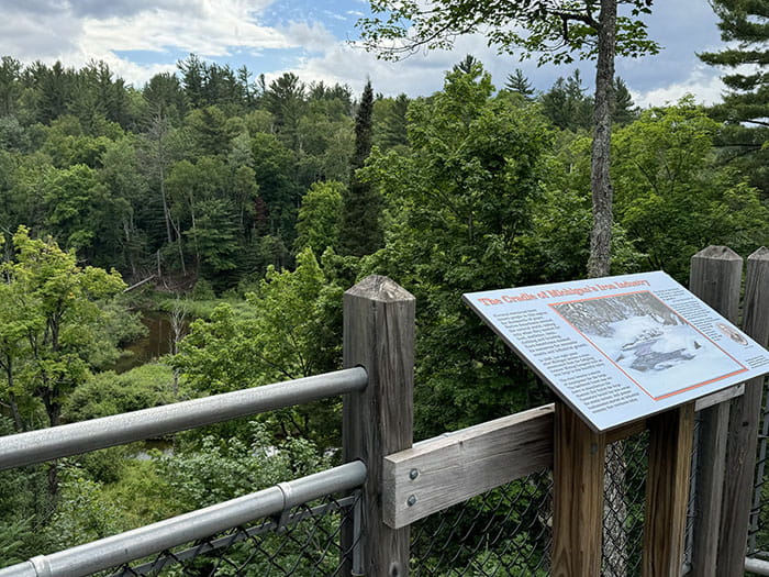 view of forest from viewing platform with interpretive signage