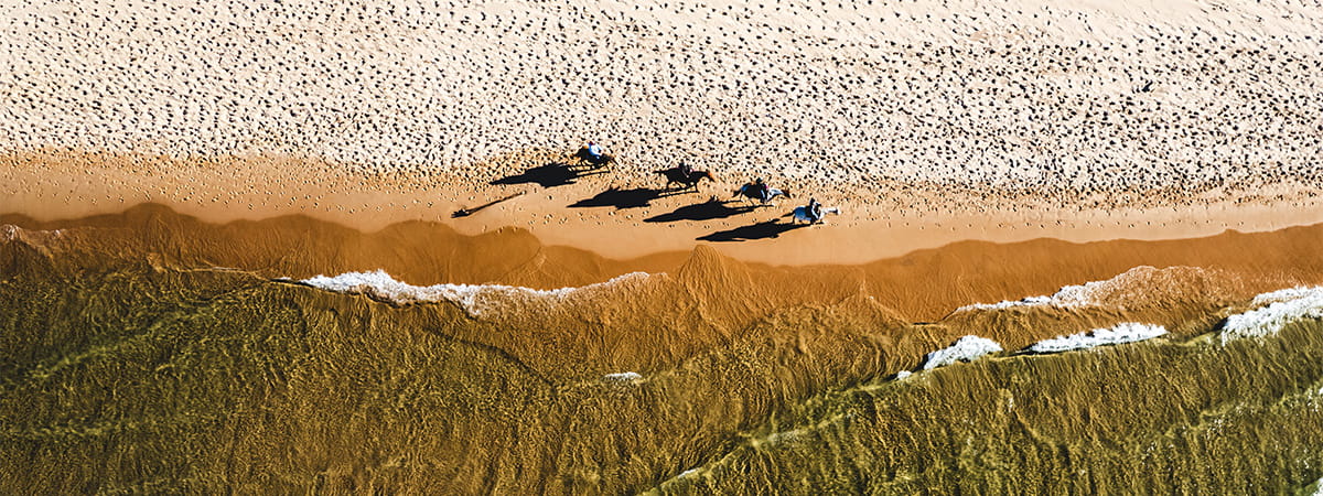 bird's-eye view of sandy shoreline with horseback riders