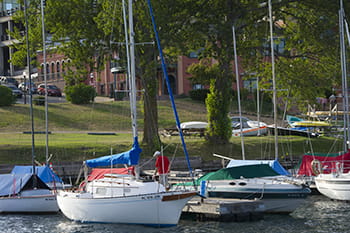 harbors with town in background
