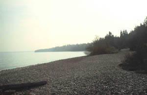 Rocky, forested shoreline