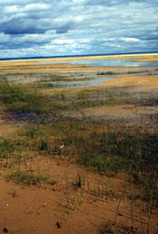 An open flatland with scattered greenery and water underneath a cloudy sky.