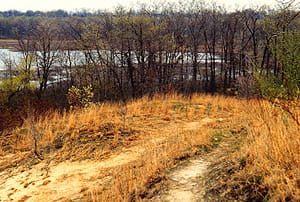 A view of a lake and a bare forest from the top of a hill.