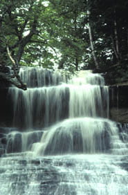 A medium-sized waterfall flowing over several stone tiers in a forest.