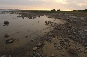 A shallow spit of water on a rocky shore with scattered vegetation in the distance.