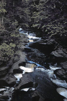 Numerous pooling waterfalls at the base of a rocky, forested river.