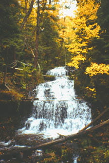 A cascading waterfall deep in a forest during autumn.