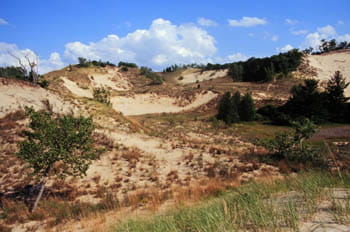 A tall, sweeping dune with scattered vegetation and trees.