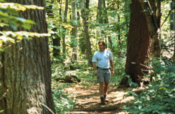 A white man in a t-shirt and shorts walks through a forested trail.