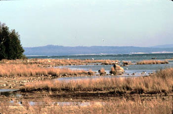 A view of Sturgeon Bay with rocky spits of land covered in brown grasses stretching into the lake.