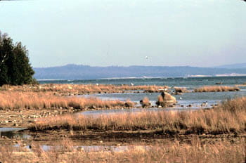 A view of Sturgeon Bay with rocky spits of land covered in brown grasses stretching into the lake.