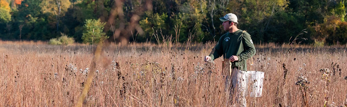 DNR staff collecting seeds in field