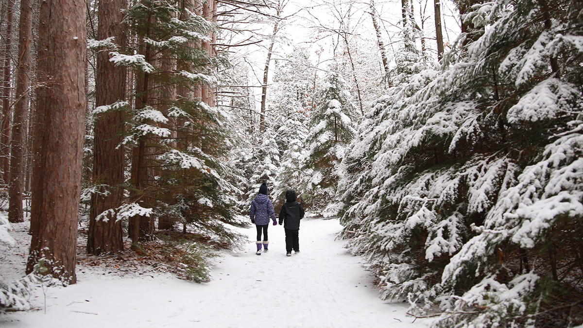 Two kids in snow gear walk on a path through a winter forest 