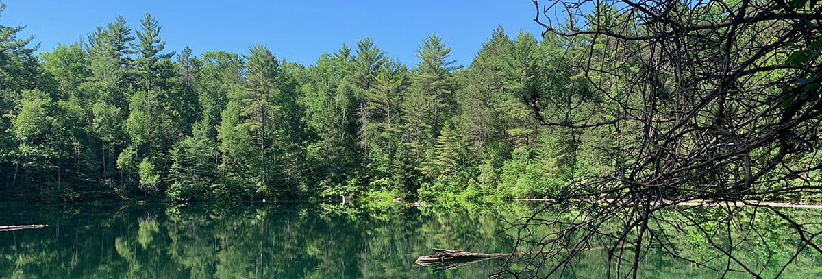 A sinkhole lake in Pigeon River Country State Forest