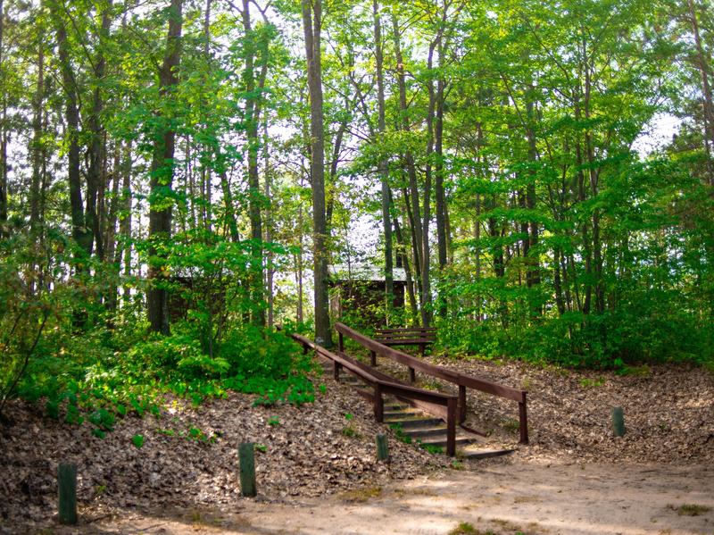 A forest in springtime with bright green leaves on the trees and a wood staircase leading up from a parking area