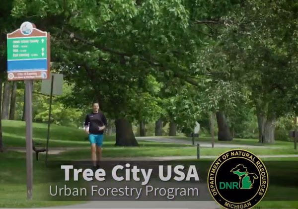 Image_Forestry_UCF_TCVideo