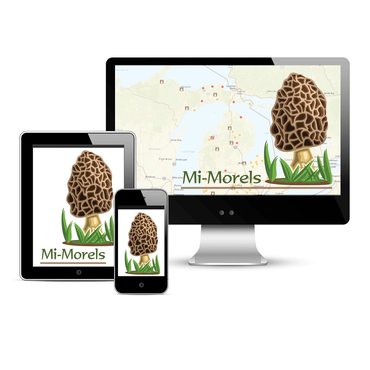 The Mi-Morels app displayed on a tablet, a phone and a computer. 