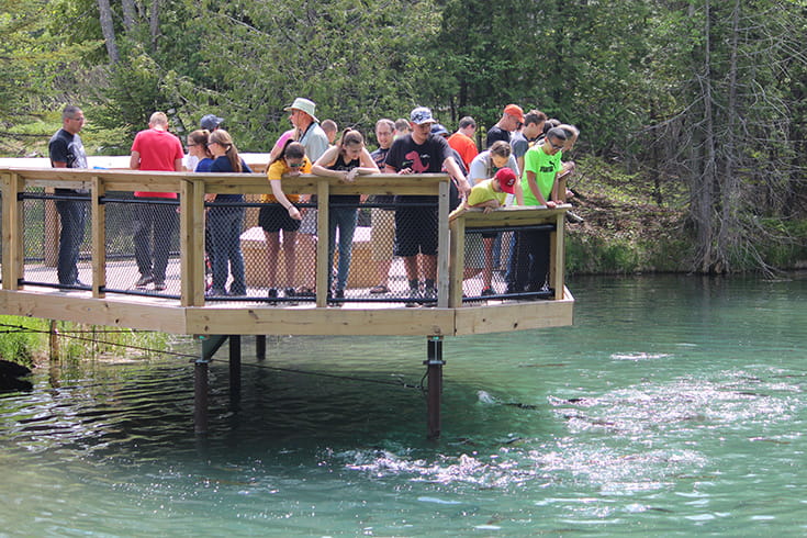 a group of people on an overlook looking down at the fish pond