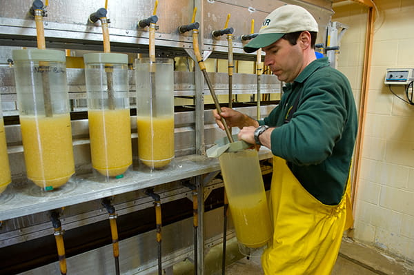 Thompson State Fish Hatchery 