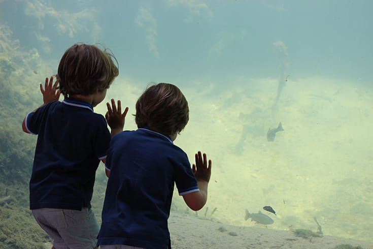 two boys looking through the window at some fish at the viewing chamber