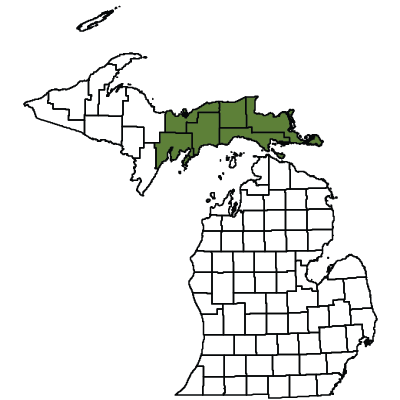 Map showing the Eastern UP counties