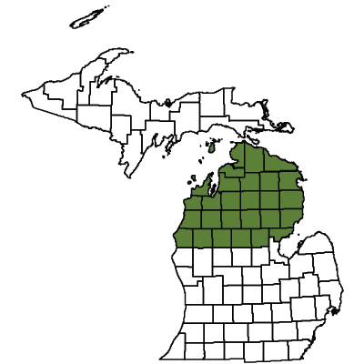 Map showing the Northern Lower Peninsula counties
