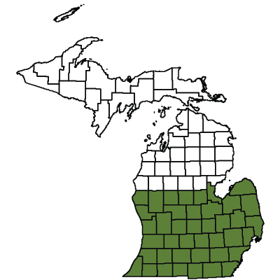 Map showing Southern Lower Peninsula counties