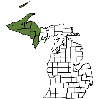 Map showing the Western UP counties