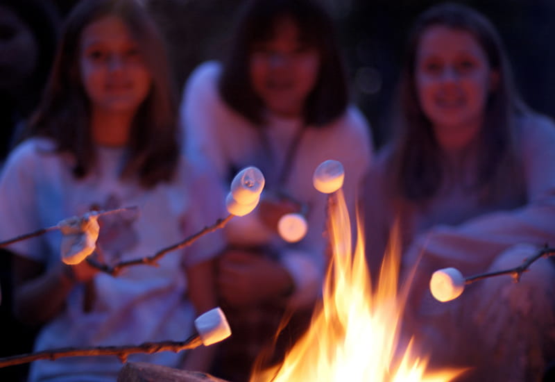 three young campers sitting in front of fire with marshmallows