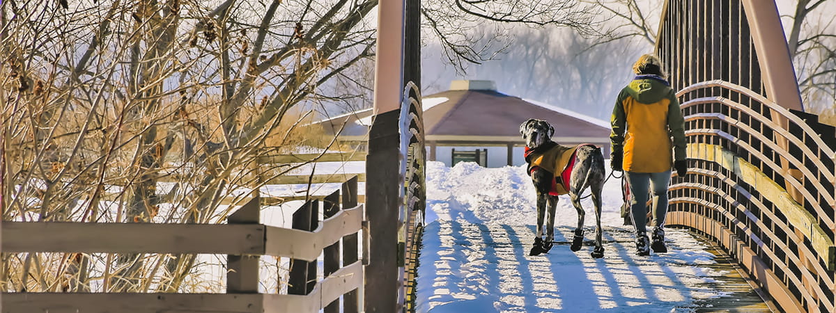 visitor walking large dog over snowy foot bridge