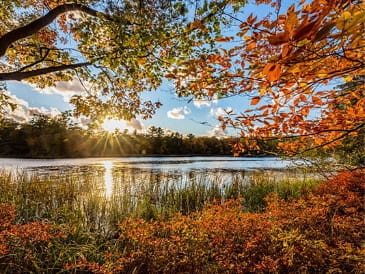 Fall trees reflect in a lake at a state park