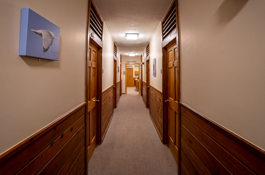 wood-paneled hallway with doors