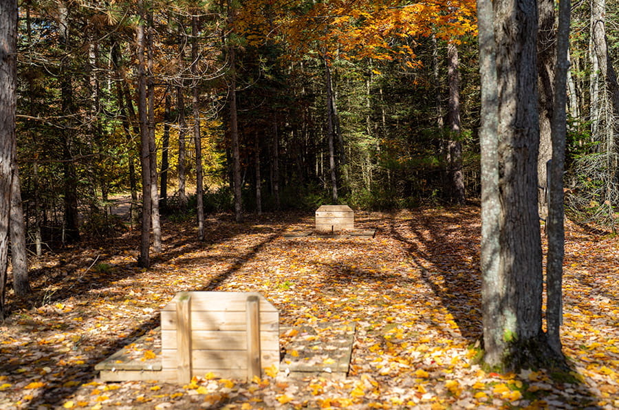 two horseshoe pits in woods