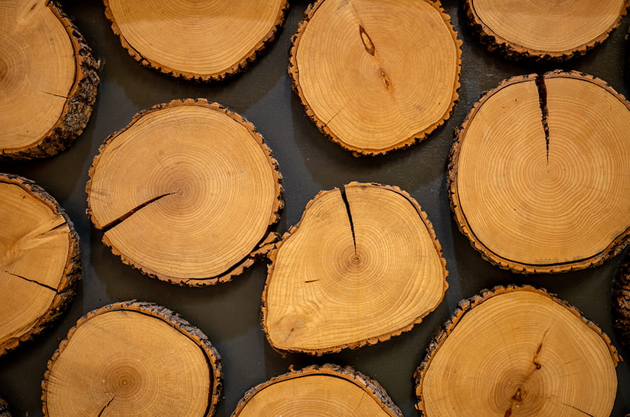 wood cookie design