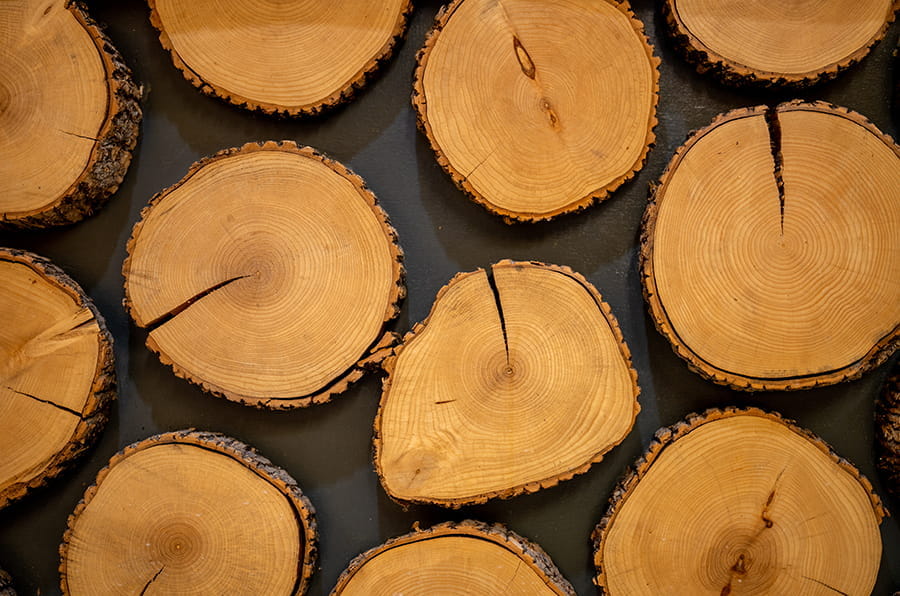 wood cookie design