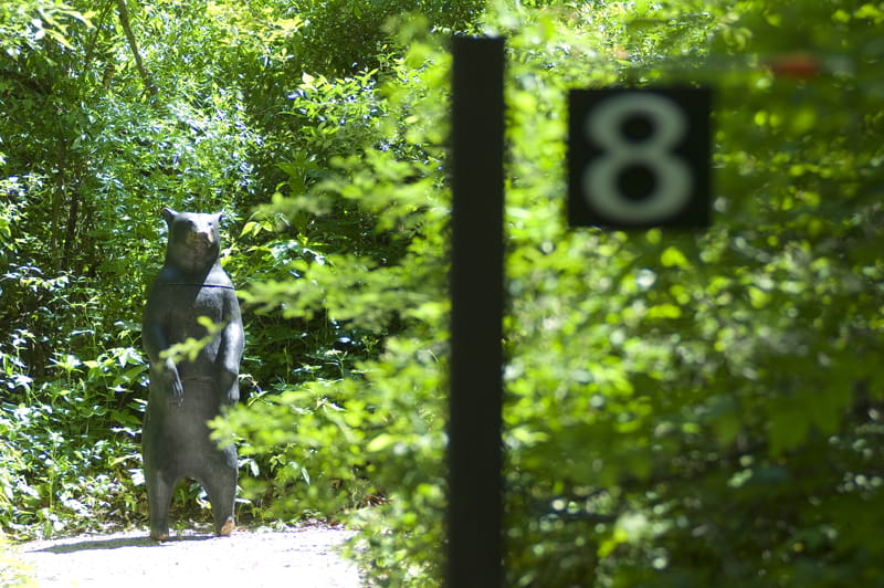 Ortonville Shooting Range - bear target on 3-D archery range