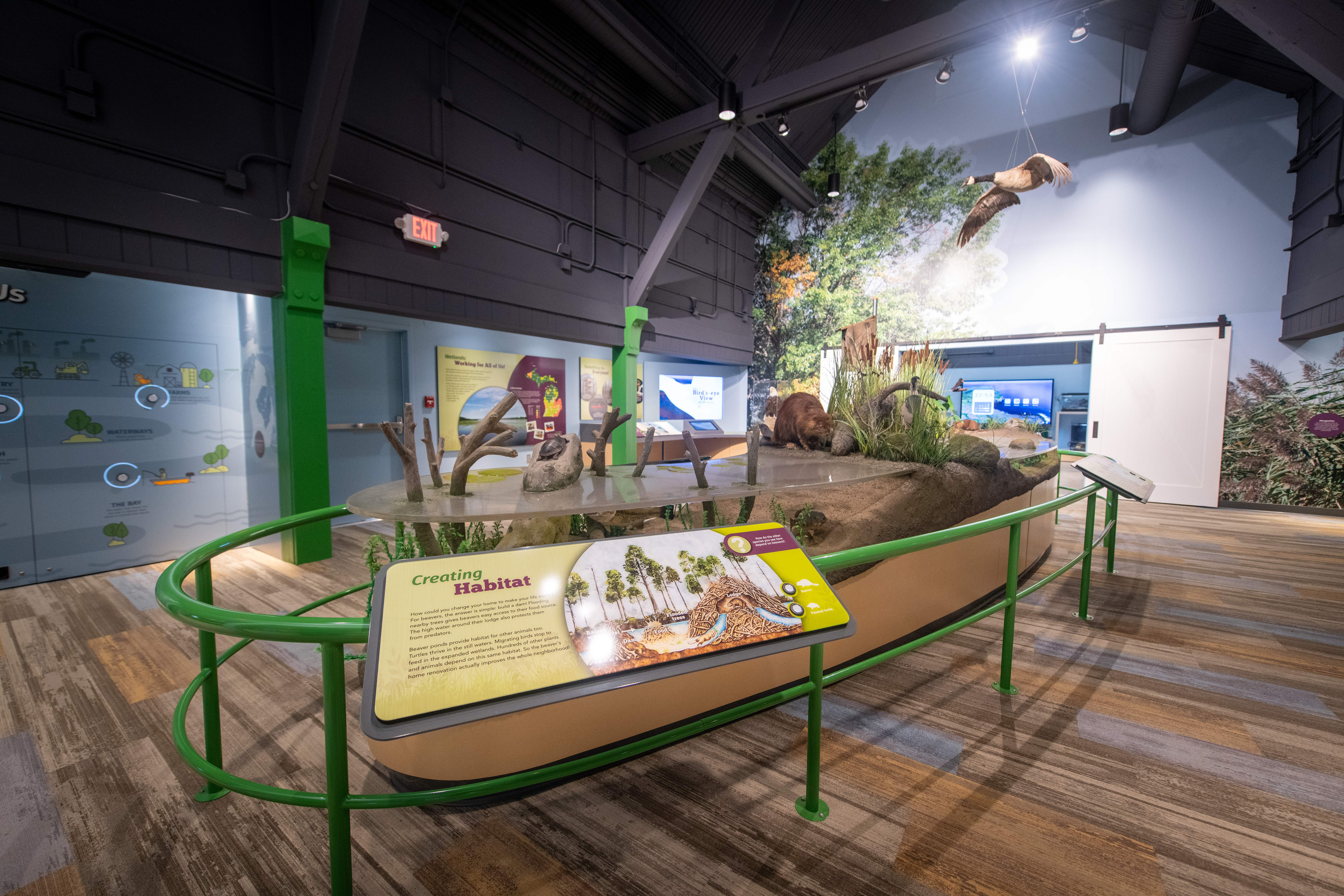 A display about habitat