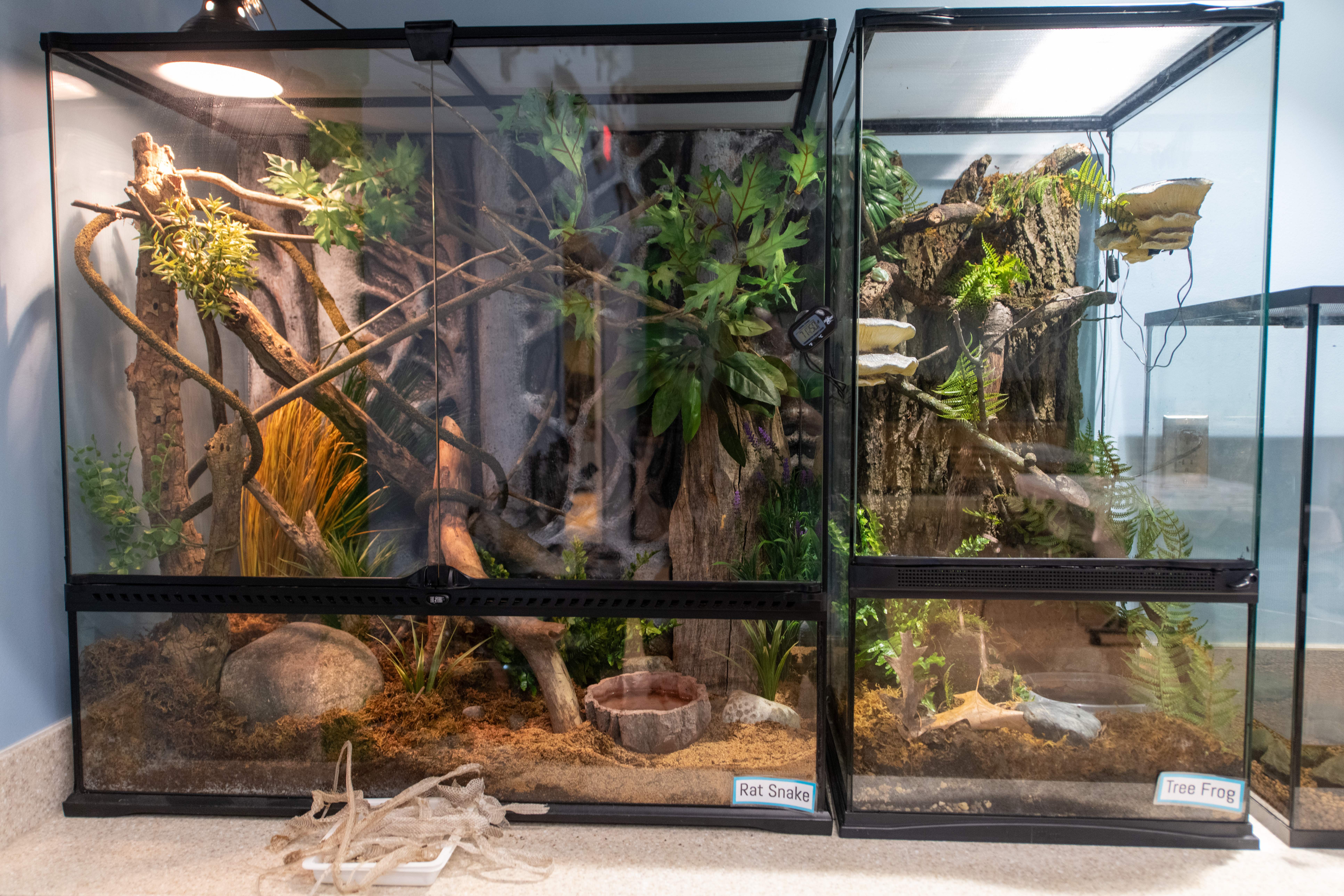 A display featuring live wildlife. 