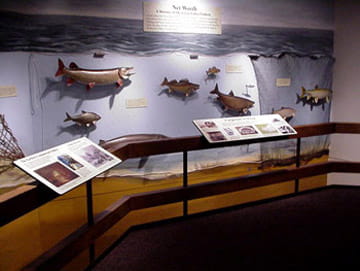 Fish exhibit at Wolf Lake State Fish Hatchery Visitor Center
