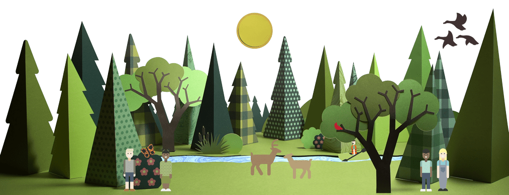 forest cutouts