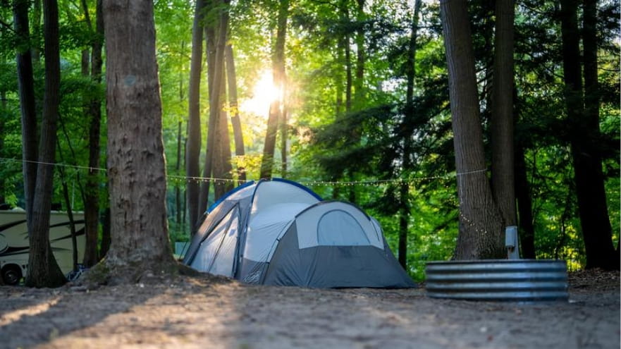A tent set up in a campsite with the sun shining through the trees in the background