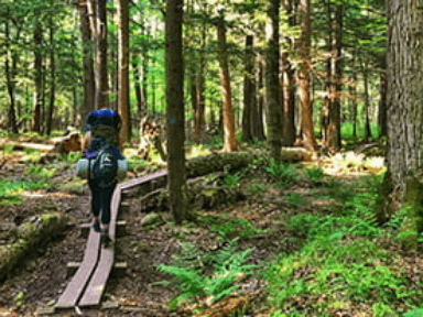 A person walks down a path in the woods with camping backpack on