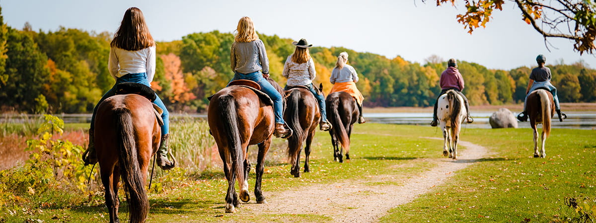 A group riding horses on a trail with fall colors on the trees