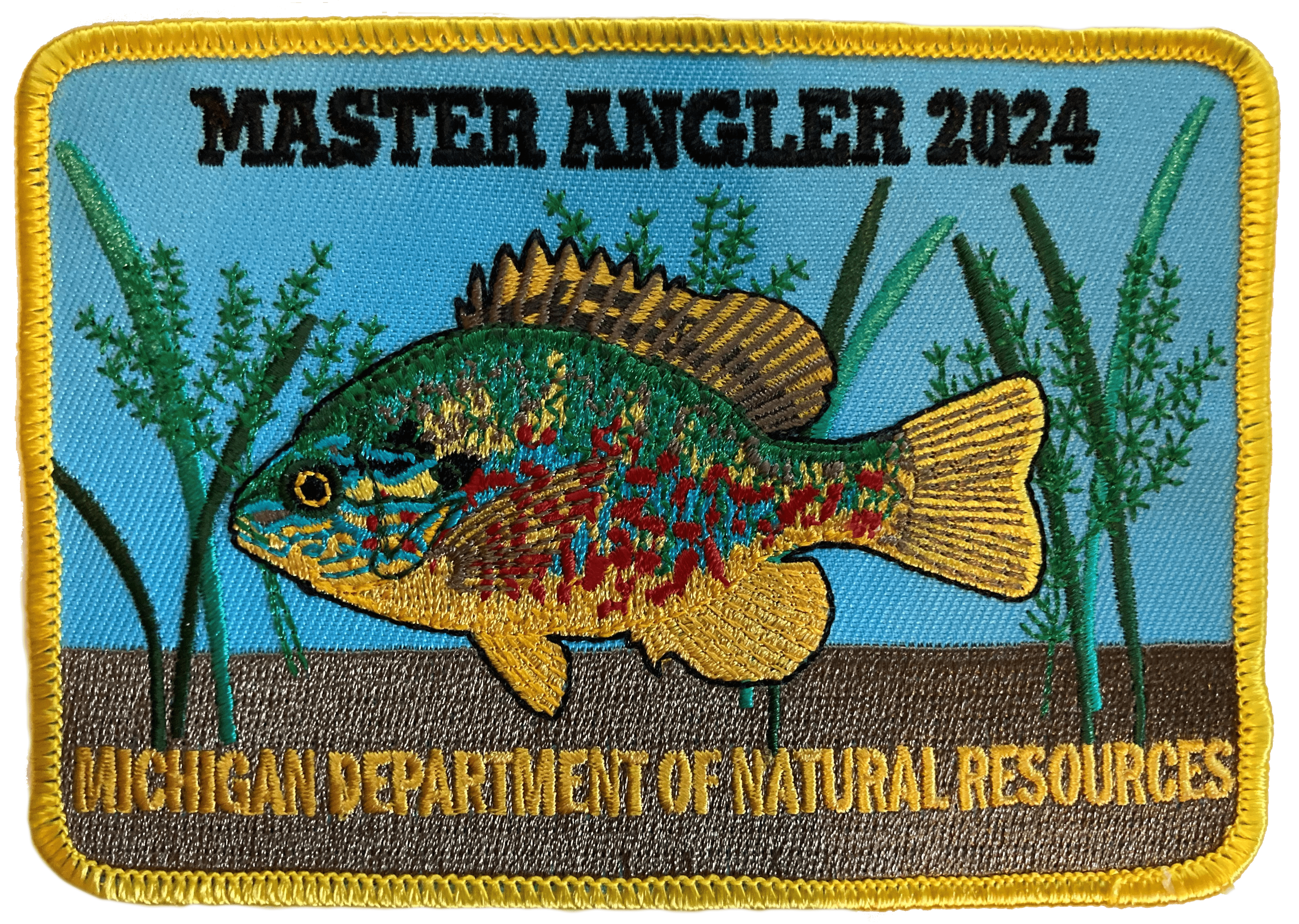 Responsible Fishing a Guide to Angler Etiquette: Master the Art