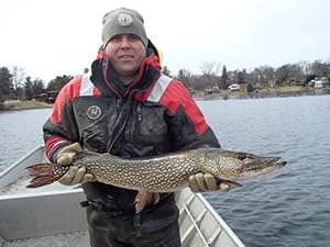 northern pike caught during Lake Orion survey
