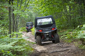 ORVs riding through a forest trail in spring
